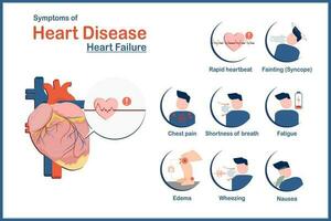 médico ilustração conceito, sintomas do coração doença causou de coração falha.fadiga,rápido batimento cardiaco, náusea e vômitos, chiado, inchaço dentro a pernas ou tornozelos, peito dor e síncope, plano estilo. vetor