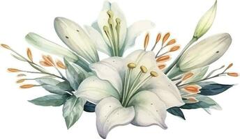 vetor flor ramalhete do branco lírios galhos com flores e folhas em uma branco fundo