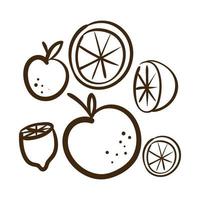 definir ícone de estilo de linha de frutas cítricas vetor