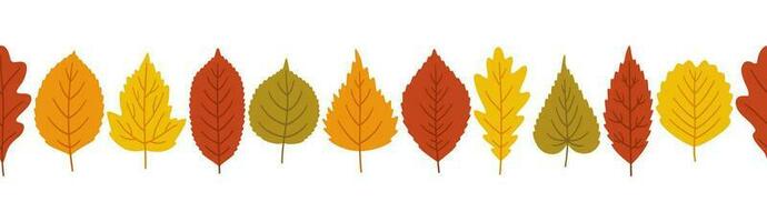 outono folhas fundo, bandeira modelo, vetor ilustração.
