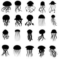 medusa ícone vetor definir. mar vida ilustração placa coleção. oceano símbolo ou logotipo.