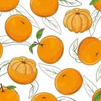 padrão sem emenda de tangerinas suculentas vetor