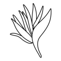 lindo ícone de estilo de linha de flor de helicônia vetor