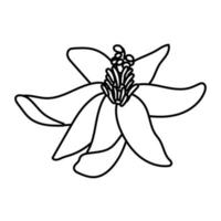 ícone de estilo de linha lindo jardim de flores vetor