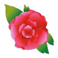 ícone de linda rosa vetor