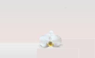 Pódio 3D realista com flor de orquídea para produtos cosméticos de moda para anúncios, banner ou fundo de revista. ilustração do vetor. vetor