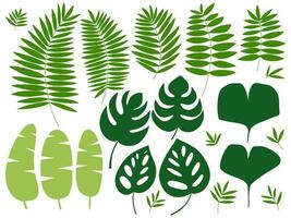 diferente tipos do tropical exótico plantas folhas definir. vetor conjunto do tropical e selva folhas