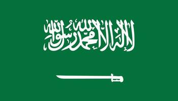 saudita arábia bandeira ícone dentro plano estilo. nacional placa vetor ilustração. político o negócio conceito.