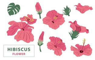 flor coleção com Rosa hibisco elemento.vetor ilustração para ícone, adesivo, imprimível vetor