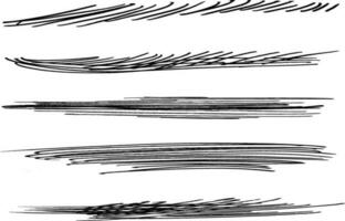 rápido torcido e cruzado tachados. conjunto do realçar linhas e assinaturas. escova acidente vascular encefálico marcadores ou tinta.doodle vetor gráfico elementos.