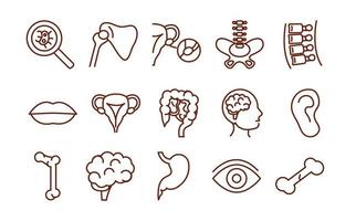 corpo humano anatomia órgãos saúde ícones coleção estilo de linha vetor