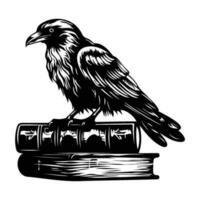 oculto feitiçaria Raven Corvo espírito animal, Sombrio Raven senta em livros vetor