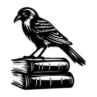 oculto feitiçaria Raven Corvo espírito animal, Sombrio Raven senta em livros vetor