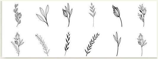 botânico abstrato linha arte, desenhado à mão buquês do ervas, flores, folhas, e galhos, vetor ilustração