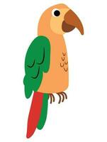 fofa mão desenhado brilhante papagaio. animal safári. branco fundo, isolar. vetor