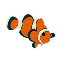 anemonefish solteiro fofa vetor
