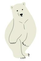 polar Urso solteiro vetor