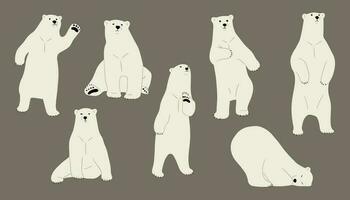 polar Urso grupo vetor