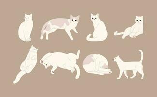 branco gato grupo vetor