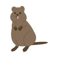 quokka solteiro fofa vetor