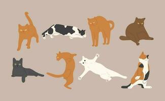 gato grupo ilustração vetor