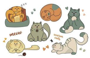 fofa e engraçado gatos rabisco vetor definir. desenho animado gato ou gatinho personagens Projeto coleção com plano cor dentro diferente poses. Projeto ilustração para adesivo, quadrinho, imprimir.