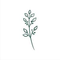 botânico folha rabisco flores silvestres linha arte vetor