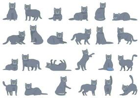 britânico cabelo curto gato ícones conjunto desenho animado vetor. engraçado animal vetor