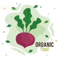 banner de alimentos orgânicos, rabanete fresco e saudável, conceito de comida saudável vetor