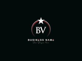 inicial bv luxo o negócio logotipo, feminino Estrela círculo bv logotipo carta vetor ícone