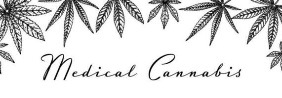 cannabis horizontal Projeto para embalagem, social meios de comunicação Postagens, loja decoração, marca, certificados. maconha vetor ilustração dentro esboço estilo. cânhamo gravado fundo