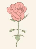 vintage minimalista arte estilo rosa flor ilustração vetor