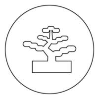 bonsai pinho árvore jardim conceito plantar japonês ícone dentro círculo volta Preto cor vetor ilustração imagem esboço contorno linha fino estilo