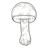 vetor isolado ilustração do floresta cogumelo. esboço Preto e branco rabisco adesivo.