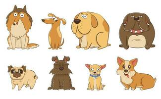 conjunto do engraçado desenho animado grande e pequeno cachorros dentro plano estilo. vetor