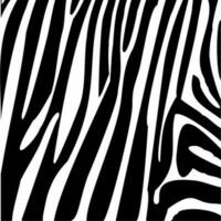 zebra pele listras padronizar. animal impressão Preto e branco detalhado e realista textura. monocromático desatado fundo. vetor ilustração