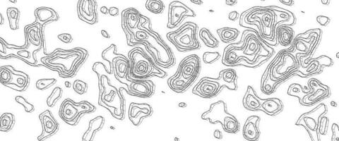 topográfico linha contorno mapa fundo. geográfico montanha contornos vetor fundo. topográfico mapa desatado padronizar. branco onda papel curvado relevos abstrato fundo.