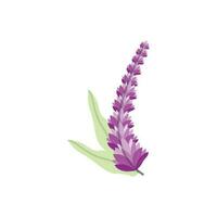 lavanda logotipo, roxa plantar vetor, jardim projeto, ilustração símbolo modelo vetor