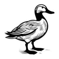 pato-real silhueta, pato-real mascote logotipo, pato-real Preto e branco animal símbolo projeto, pássaro ícone. vetor