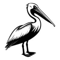 pelicano silhueta, pelicano mascote logotipo, pelicano Preto e branco animal símbolo projeto, pássaro ícone. vetor