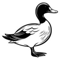 pato-real silhueta, pato-real mascote logotipo, pato-real Preto e branco animal símbolo projeto, pássaro ícone. vetor