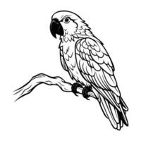 papagaios silhueta, papagaios mascote logotipo, papagaios Preto e branco animal símbolo projeto, pássaro ícone. vetor