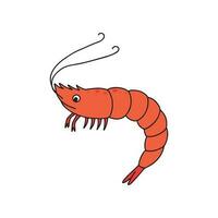 fofa desenho animado camarão em uma branco fundo. criança vetor ilustração dentro rabisco estilo