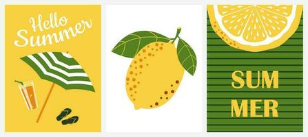 Olá verão. conjunto do fofa vertical cartazes com tropical limão, citrino limonada, giro flops e Sol guarda-chuva. vetor
