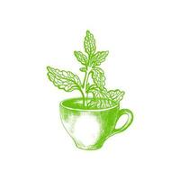 stevia símbolo. vetor doce plantar e copo. orgânico