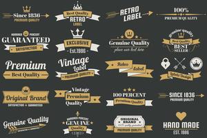 Vintage Retro Vector Logo para banner