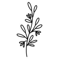 fofa ramo com folhas e flores isolado em branco fundo. vetor desenhado à mão ilustração dentro rabisco estilo. perfeito para cartões, logotipo, decorações, vários projetos. botânico clipart.