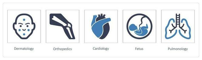 dermatologia, ortopedia, cardiologia vetor