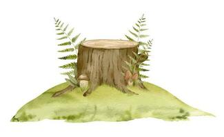 musgoso toco com verde samambaia. aguarela mão desenhado ilustração do floresta meio Ambiente isolado em branco fundo. desenhando do bosque com cogumelos e verde plantas em uma grama. esboço do panorama vetor