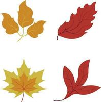 outono folhas definir, isolado em branco fundo. simples desenho animado plano estilo, vetor ilustração.